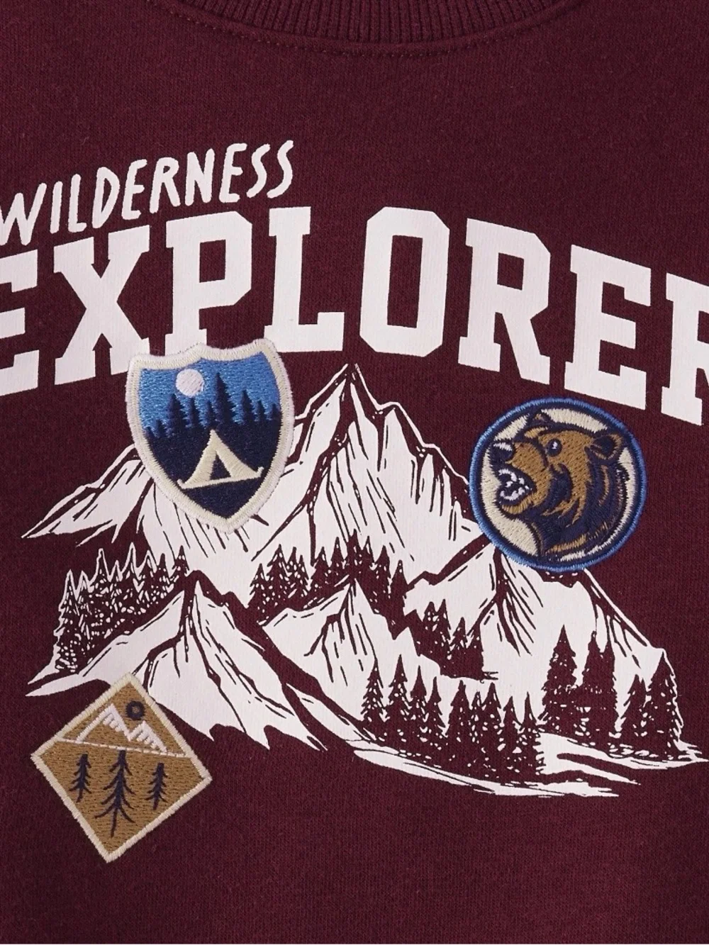 The children’s place Toddler Boys Wilderness Explorer Kids Sweatshirt - Burgundy